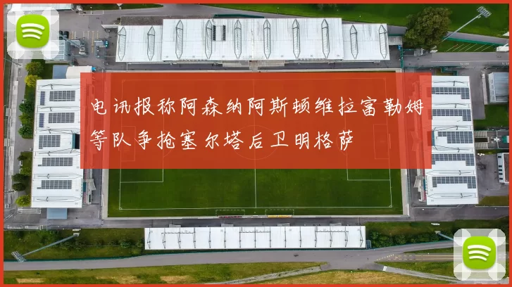 电讯报称阿森纳阿斯顿维拉富勒姆等队争抢塞尔塔后卫明格萨