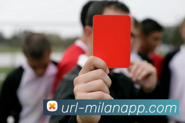 米兰体育平台生态图